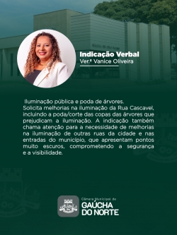 14ª Sessão Ordinária da Câmara Municipal de Gaúcha do Norte é realizada nesta terça-feira